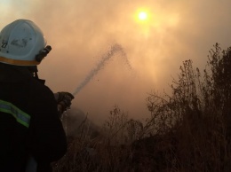 Лесные пожары и трагедия на карьере: полиция и спасатели подвели итоги недели в Днепре