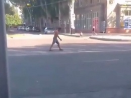 Полуголый мужчина в Мелитополе бродил по оживленному проспекту (видео)