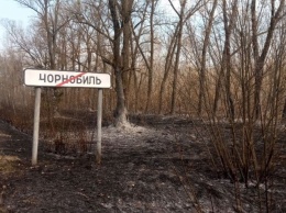 В этом году более 600 чернобыльцев из области могут бесплатно оздоровиться