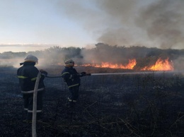 За прошлые сутки на Днепропетровщине дважды горел сухостой