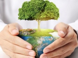Миллион деревьев за сутки: на Днепропетровщине пройдет масштабная акция по озеленению региона
