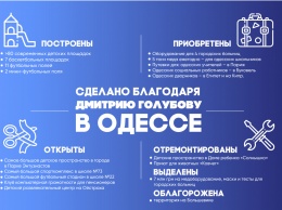 Стадионы, дворы и ремонты больниц: Дмитрий Голубов рассказал о проделанной работе (политика)