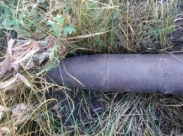 В Терновке во время выпаса скота жещина наткнулась на снаряд
