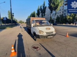 В Запорожье "ГАЗель" сбила женщина с ребенком (фото)