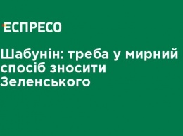 Шабунин: надо мирным путем сносить Зеленского