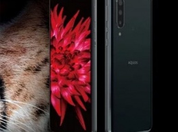 Sharp Aquos Zero 5G Basic представлен официально