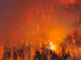 Лесные пожары в США уничтожили тысячи домов, 25 погибших