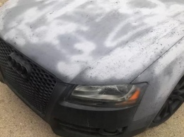 Жидкая резина для авто: как нельзя удалять краску с кузова, фото