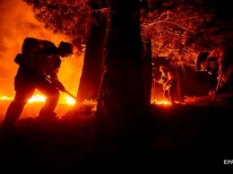 Жертвами пожаров в США стали около 30 человек