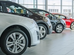 Как купить авто и не стать жертвой обмана: украинцам рассказали, что нужно знать