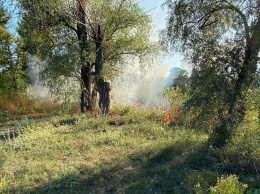 В Днепре в районе Березановки горят камыши, - ФОТО