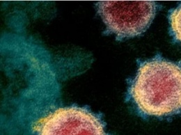 Коронавирус и грипп "конкурируют": вирусолог объяснила, можно ли заболеть ими одновременно