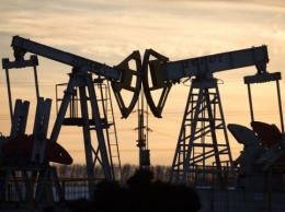 Цены на нефть растут после снижения на прошлой неделе