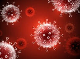 В США ученые обнаружили белок, который нейтрализует коронавирус