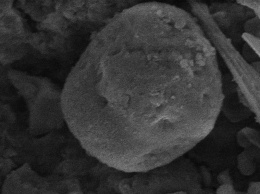 Ученые показали фото метеорита, которые подтверждают гипотезу занесения жизни на Землю и космоса
