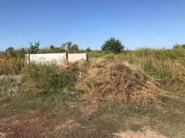 Гора мусора на кладбище в Тамбовке возмутила сельчанку
