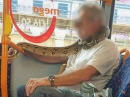 Британец использовал змею в качестве «маски» в транспорте