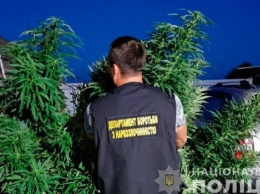 Под Черниговом задержан мужчина с партией наркотиков на сумму более 1 млн грн