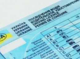 В Украине изменят внешний вид водительских прав