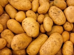 Картофель опасен для здоровья: от какого лучше отказаться навсегда