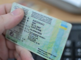 В Украине запустили онлайн-проверку водительских прав