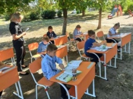 Показуха или нет? Сеть впечатлили фото школьных уроков под открытым небом в Днепре