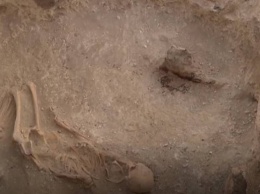 На Луганщине провели раскопки кургана: что нашли археологи