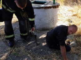 В Криворожском районе спасатели достали из колодца 37-летнего мужчину