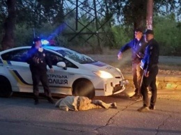 В Запорожье автомобиль патрульной полиции сбил пешехода