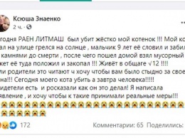 В Павлограде мальчик жестоко убил котенка, - СОЦСЕТИ