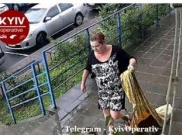В Киеве женщина попалась на наглой краже: лишила развлечения детей, фото