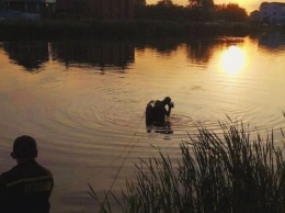 Трагедия в Киеве: из озера достали тело мужчины