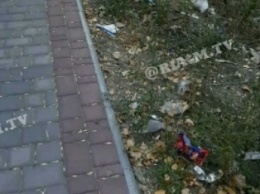 В Мелитополе возле школы развели свинство (фото)