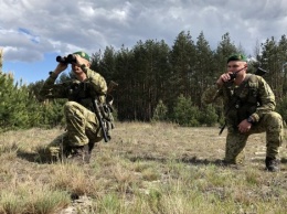 Украинский пограничник в видеоролике сравнил воинов ВСУ со свиньями, началась служебная проверка