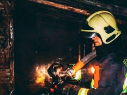 В Киеве вспыхнул пожар в приюте для животных