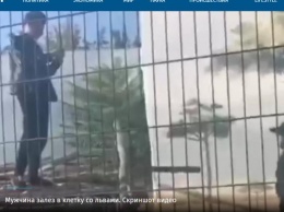 В Одессе мужчина ради впечатляющих кадров залез в вольер со львами. Полиция выгоняла его слезоточивым газом