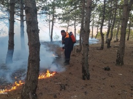 Между пгт. Орджоникидзе и Феодосией ликвидировали возгорание лесной подстилки