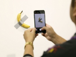 История с приклеенным к стене бананом получила продолжение - он переехал в крупнейший музей современного искусства