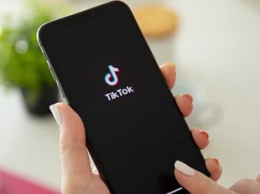 TikTok за пять месяцев удалил более 500 роликов по запросу властей разных стран