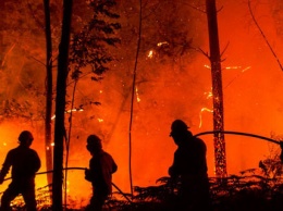 Массовые пожары в экосистемах Днепропетровщины: стала известна причина