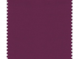 Пурпурная фуксия - главный цвет этой осени