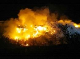 В Житомире тушат масштабный пожар на свалке