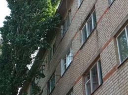 Поменять окно в квартире мелитопольцу мешает дерево