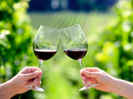 Сорт и регион выращивания винограда: выбираем грамотно вино