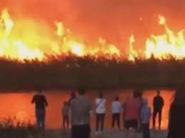 Очевидцы публикуют жуткие видео пожаров под Воронежем