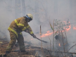 Под Днепром в Обуховском лесничестве произошел пожар: горело более 5 гектаров экосистем