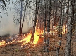 Донбасс в огне! За выходные в Донецкой области случилось 204 пожара, - ФОТО
