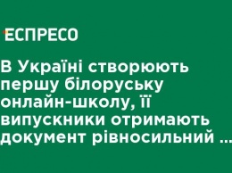 В Украине создают первую белорусскую онлайн-школу, ее выпускники получат документ равносильный с украинским аттестатом