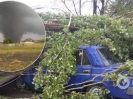 Поселок под Херсоном накрыл торнадо, пострадали десятки домов. Фото и видео