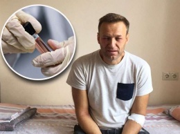 Навальный предположил, где он мог быть отравлен "Новичком"